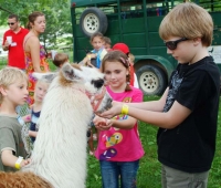 Petting-Zoo-2