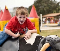 mechanical-bull