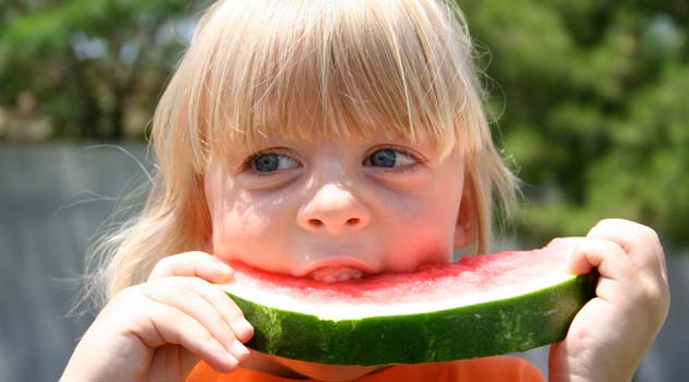 Enjoy watermelon at your next picnic by picnic people saint louis.